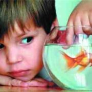 Homeschool多动症儿