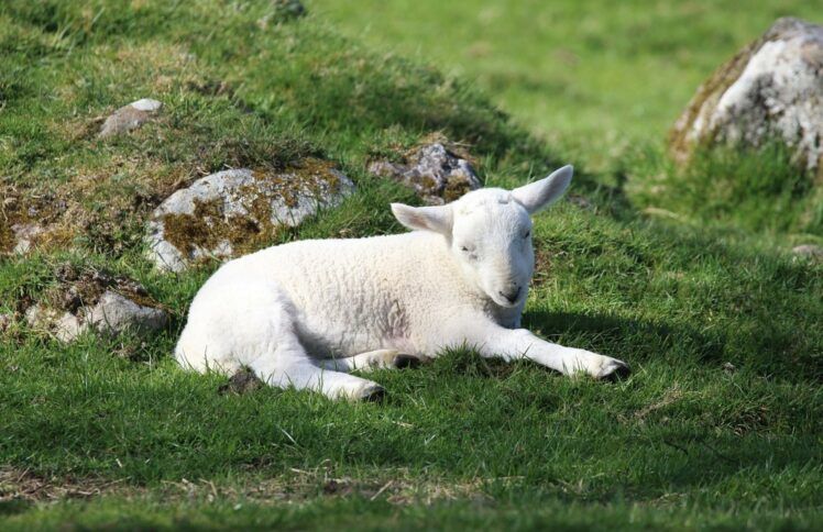 放假越放越累,如何真正安息?