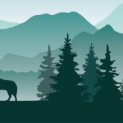 从人到狼：当热血青春进入职场