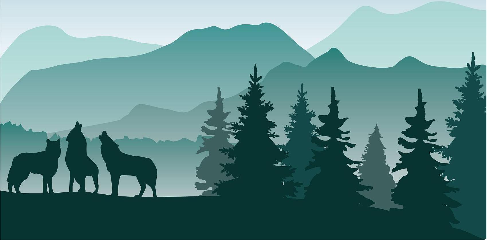 从人到狼：当热血青春进入职场