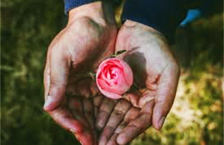 丈夫外遇离婚到复婚，十年荆棘路