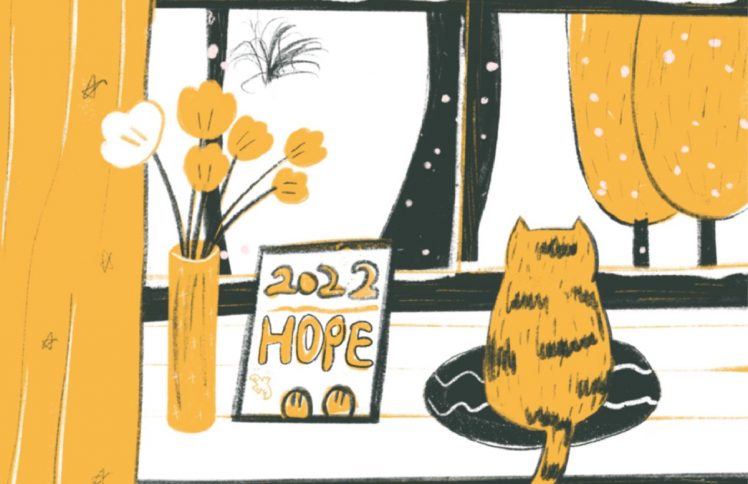 喵生百态|倒计时，过年的正确姿态