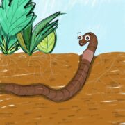 有声绘本|我喜欢在地下钻行