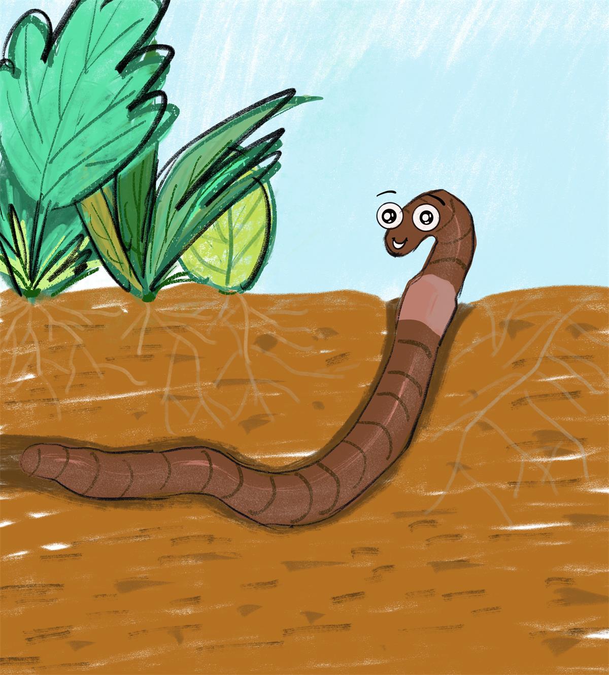 有声绘本|我喜欢在地下钻行