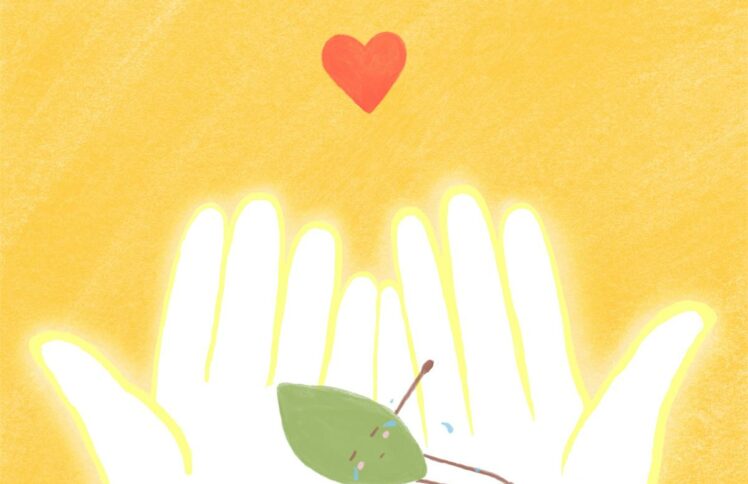 原创绘本&手工丨叶子的回归旅程