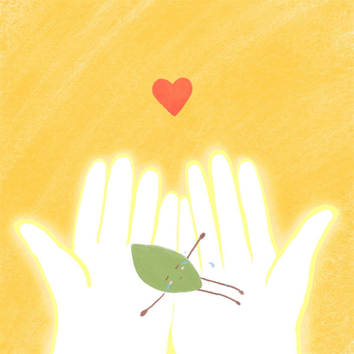 原创绘本&手工丨叶子的回归旅程