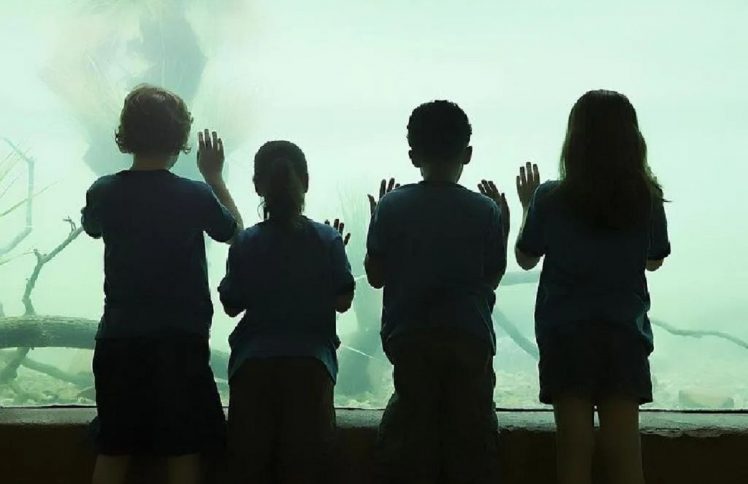 收养：我们选择在一起