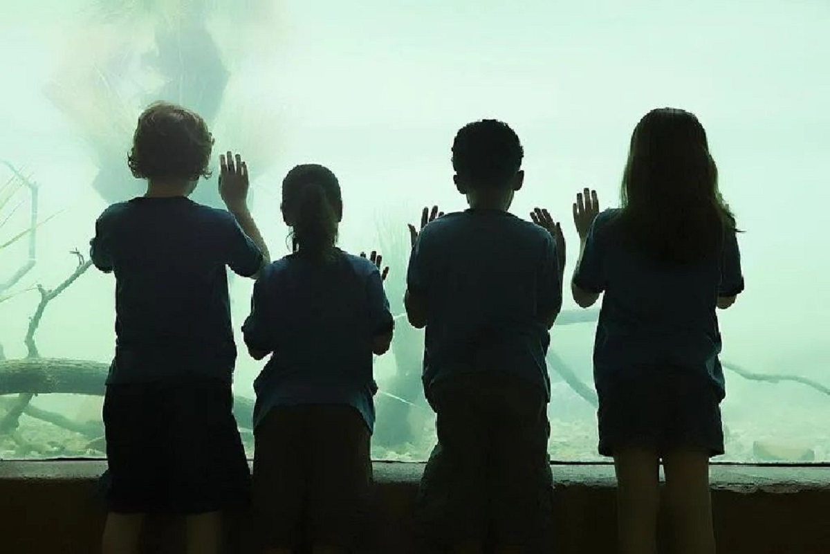 收养：我们选择在一起