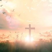 2018【新年献辞】神在冬天里做的每件事,都令人温暖