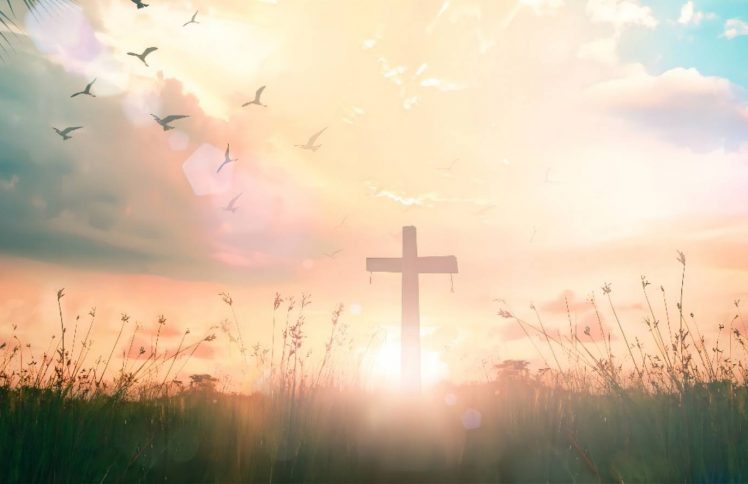 2018【新年献辞】神在冬天里做的每件事,都令人温暖