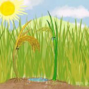 有声绘本｜离别的苗儿再相会