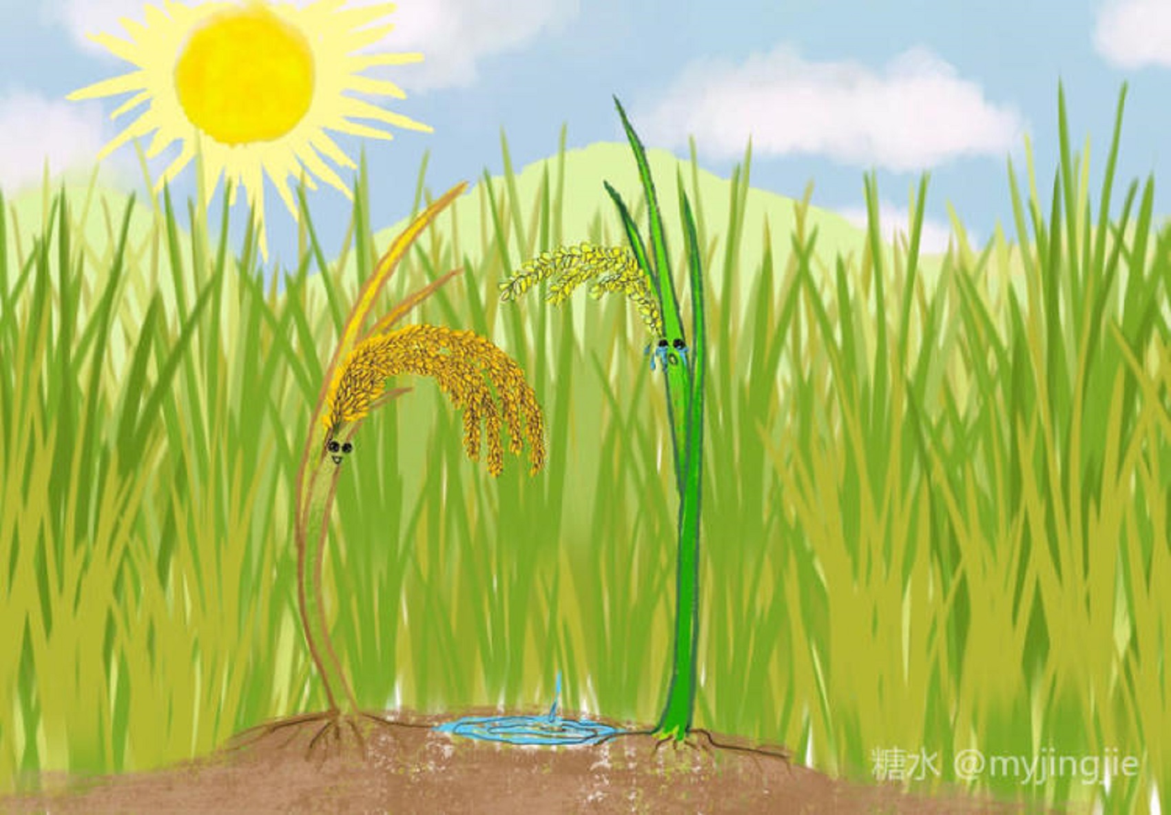 有声绘本｜离别的苗儿再相会