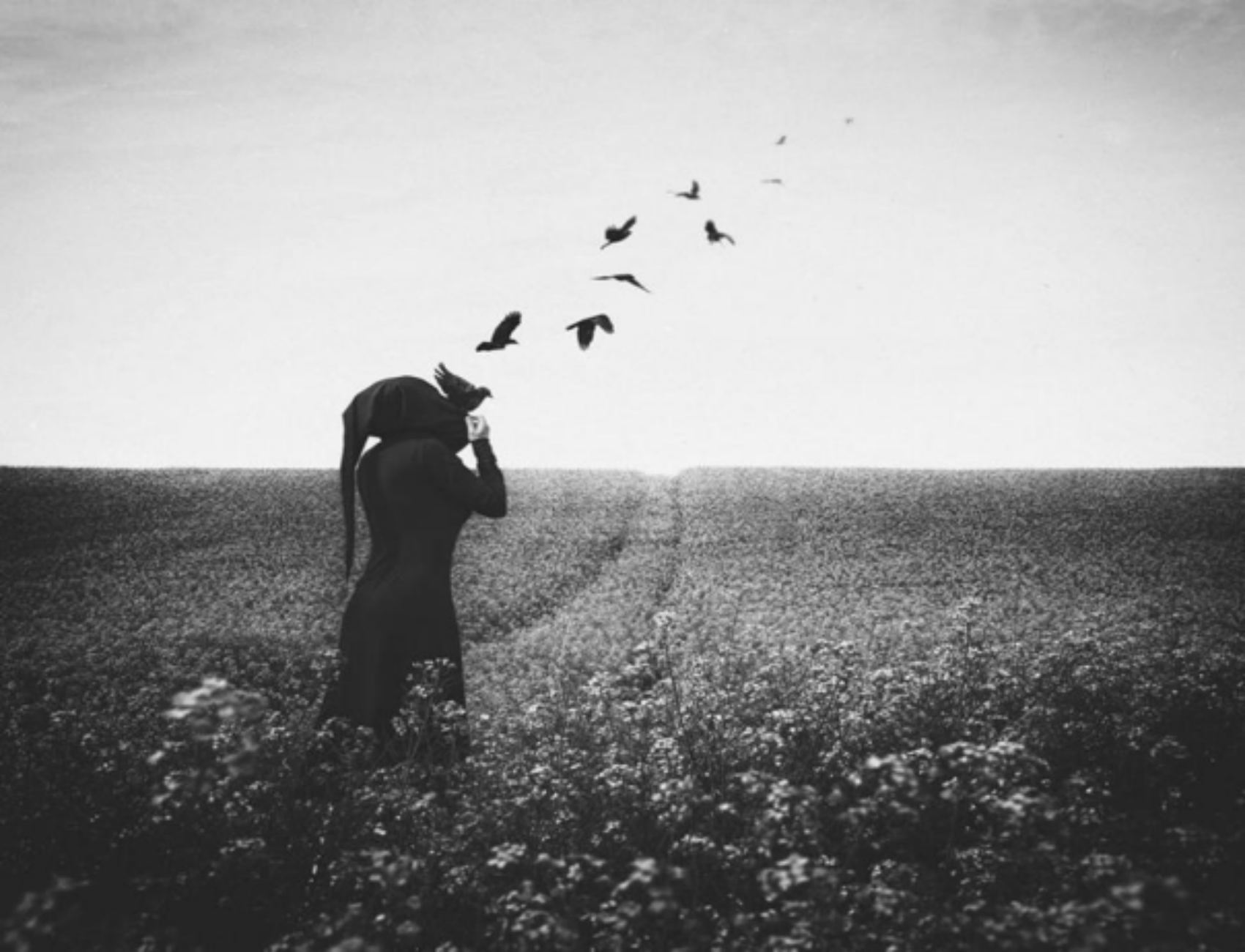 我在爱尔兰感染新冠的日子