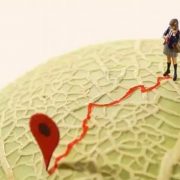 女医生与癌共舞的一千个日子