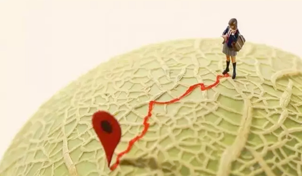 女医生与癌共舞的一千个日子