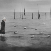 【主编现场回应】顺服生命中的不同季节