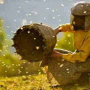 假如生活，消失了甜蜜的制造者