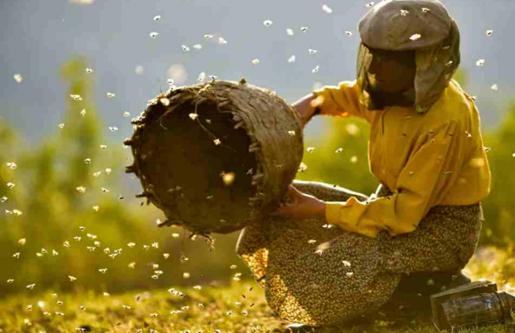 假如生活，消失了甜蜜的制造者