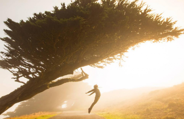 唤醒敬拜团：用歌声叫醒这世代