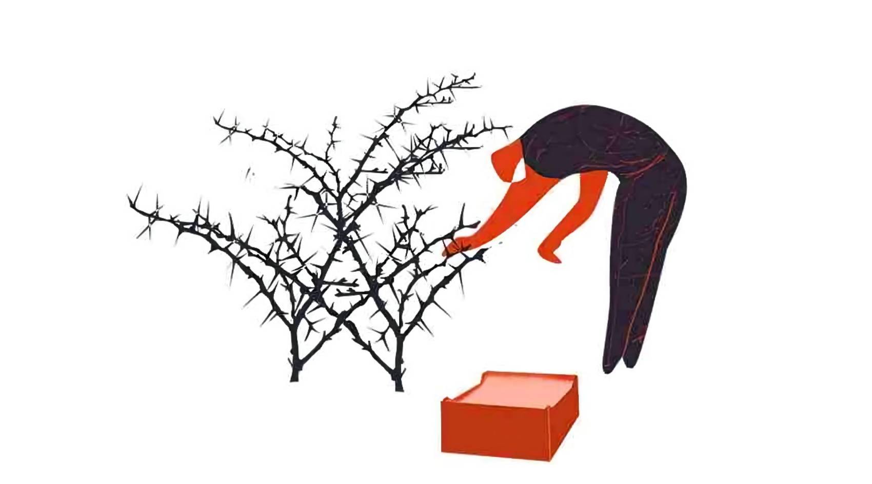 你是否也曾幻想能从荆棘中收取葡萄？