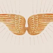 经典绘本《蒂科与金翅膀》|可以听故事的音频！