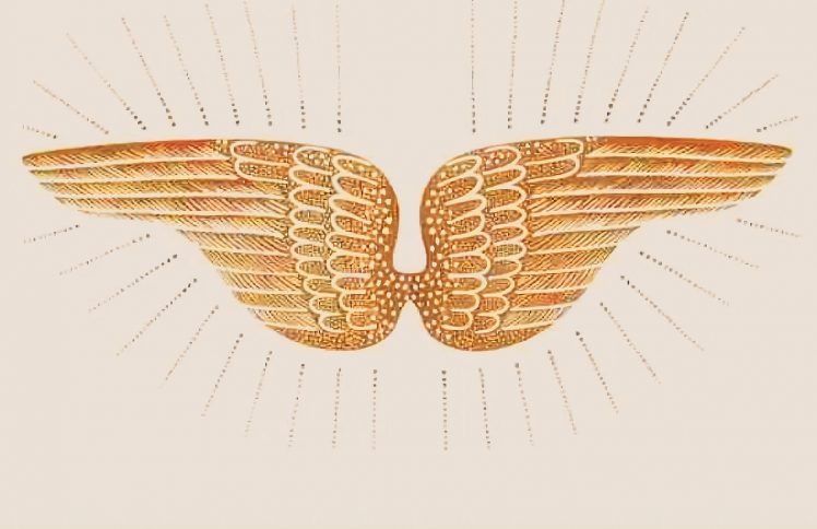 经典绘本《蒂科与金翅膀》|可以听故事的音频！