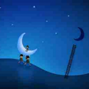 这群人，每晚在线做什么？