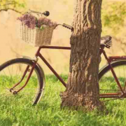 在高手如云的校园，软弱不是一件坏事