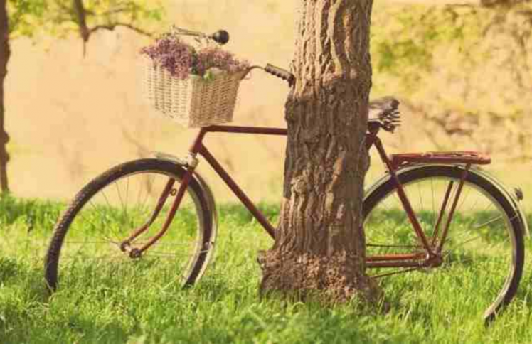 在高手如云的校园，软弱不是一件坏事