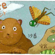 地上有四样小物，却甚聪明（上）l 蚂蚁&沙番