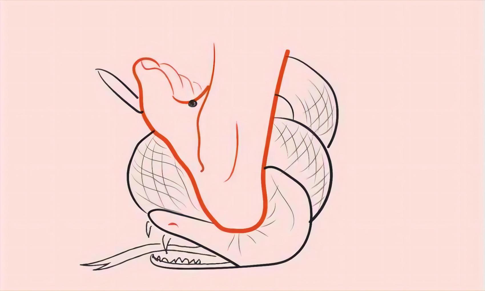 有人在追求让死亡很酷，却不知有人已胜过死亡