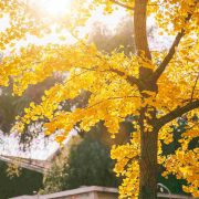 我所要的，男人和金钱那里没有