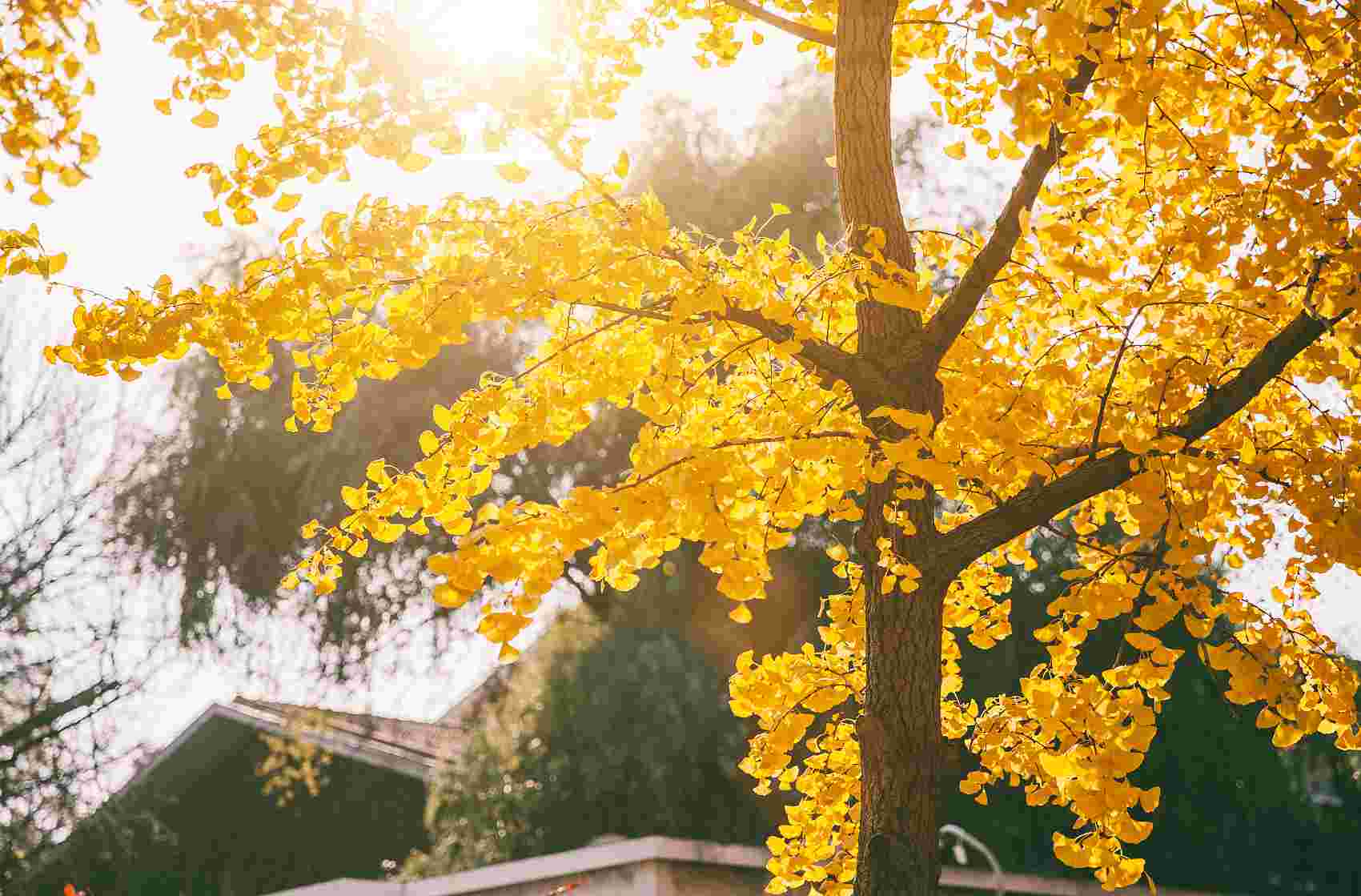 我所要的，男人和金钱那里没有