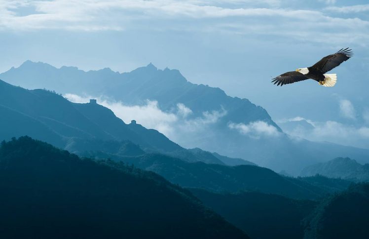 北大夫妇的人生转折：神是我人生的编剧 | 风起时，如鹰再次展翅上腾