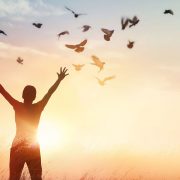 走出“笼子式的教会”，你可以飞 ——读陈恩藩《被遗忘的圣灵》