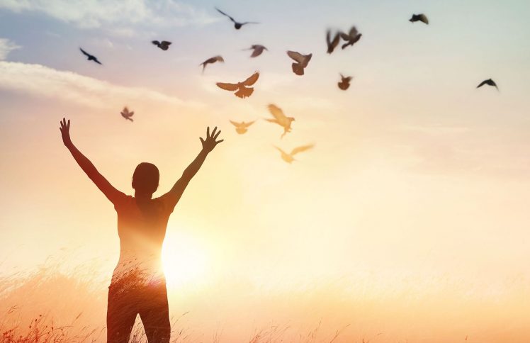 走出“笼子式的教会”，你可以飞 ——读陈恩藩《被遗忘的圣灵》