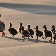 五个故事：神仆人的医治，也是我的医治