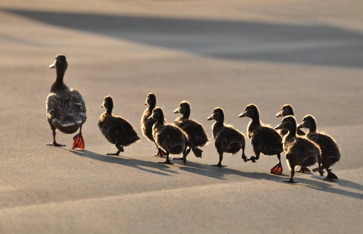 五个故事：神仆人的医治，也是我的医治