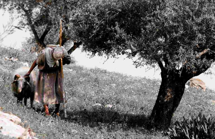 确诊艾滋病后,我遇到《境界》