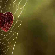 耶稣肯，我们肯吗？