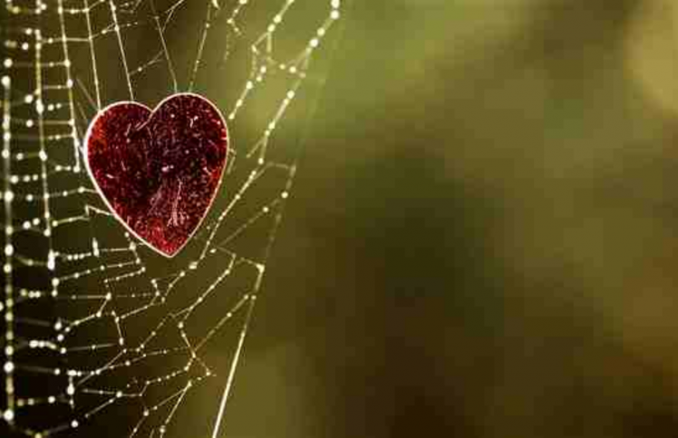 耶稣肯，我们肯吗？