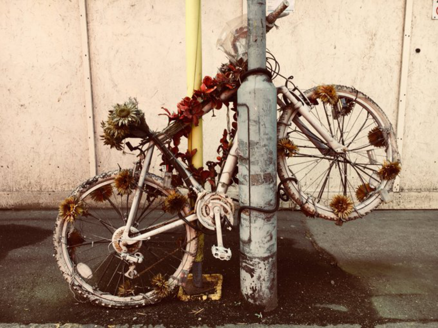 那天，我去见遗弃我26年的父亲