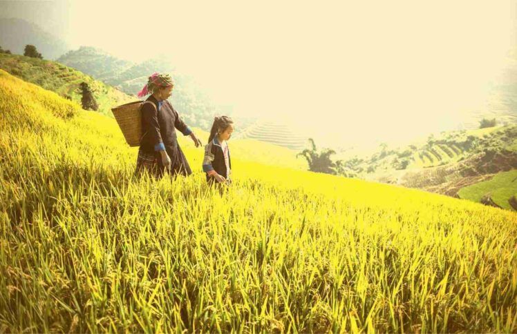 失丧生命的反得着生命——苗族宣教开路先锋党居仁