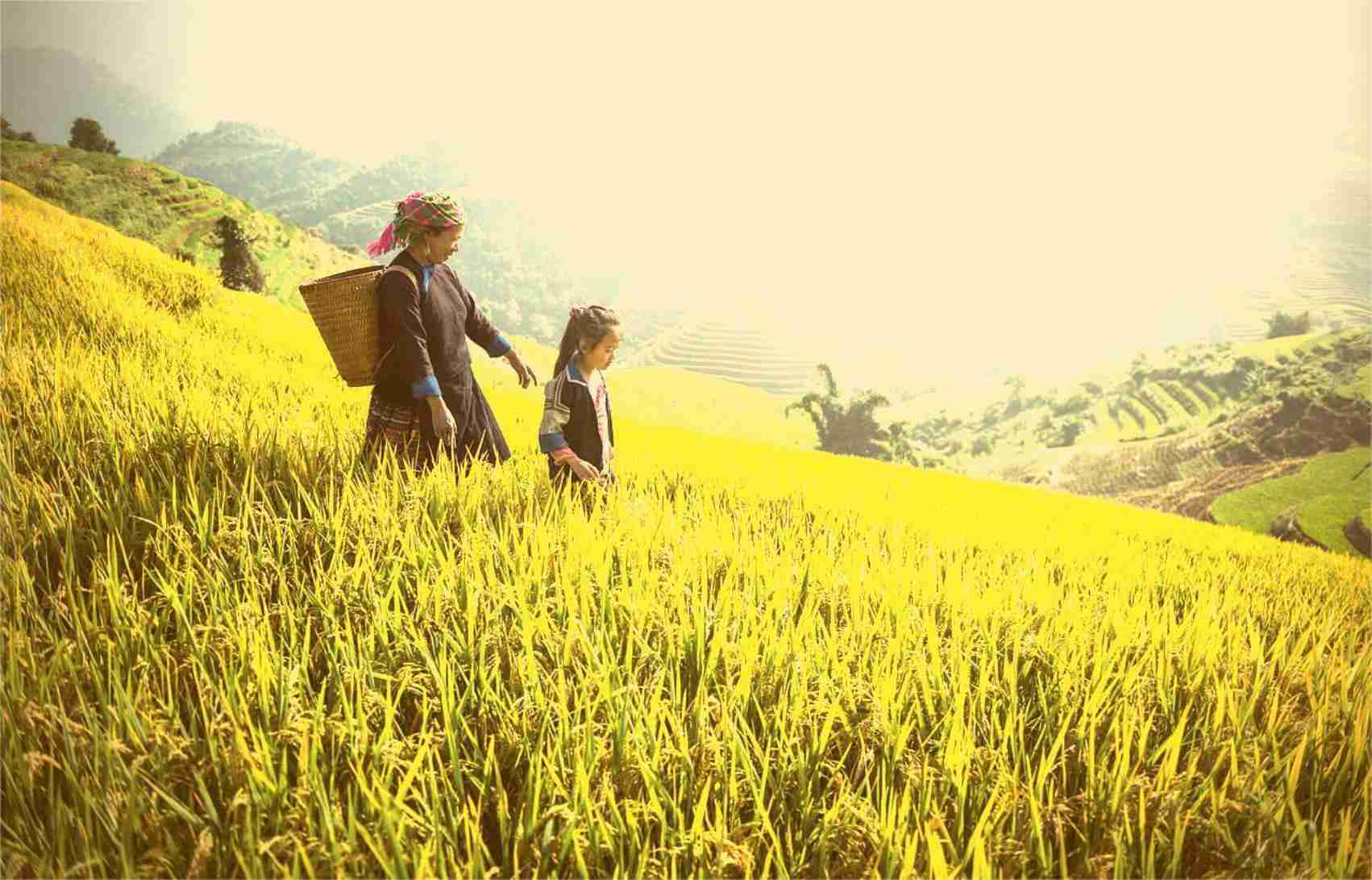 失丧生命的反得着生命——苗族宣教开路先锋党居仁