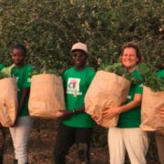 建造西非伊甸园的美国女性妮可·杜曼