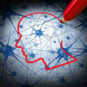 耶鲁教授：我如何从穆斯林成为基督徒