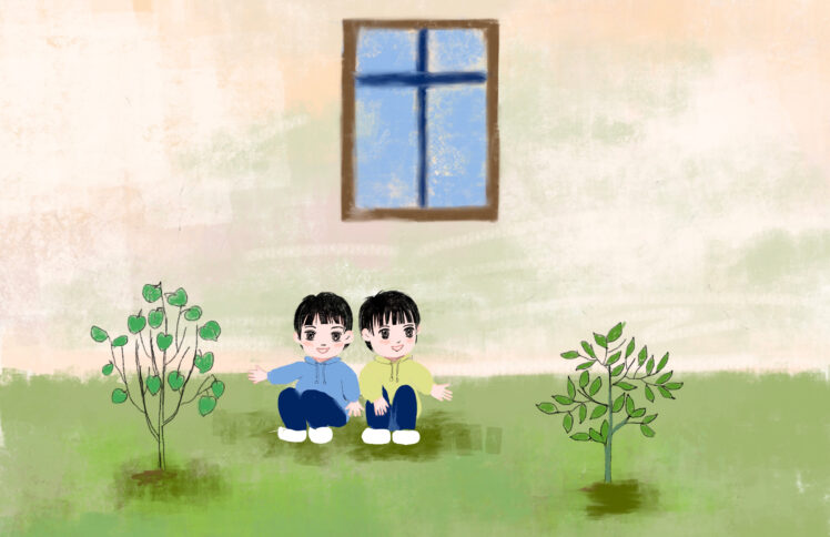 有声绘本|两兄弟和他们的树