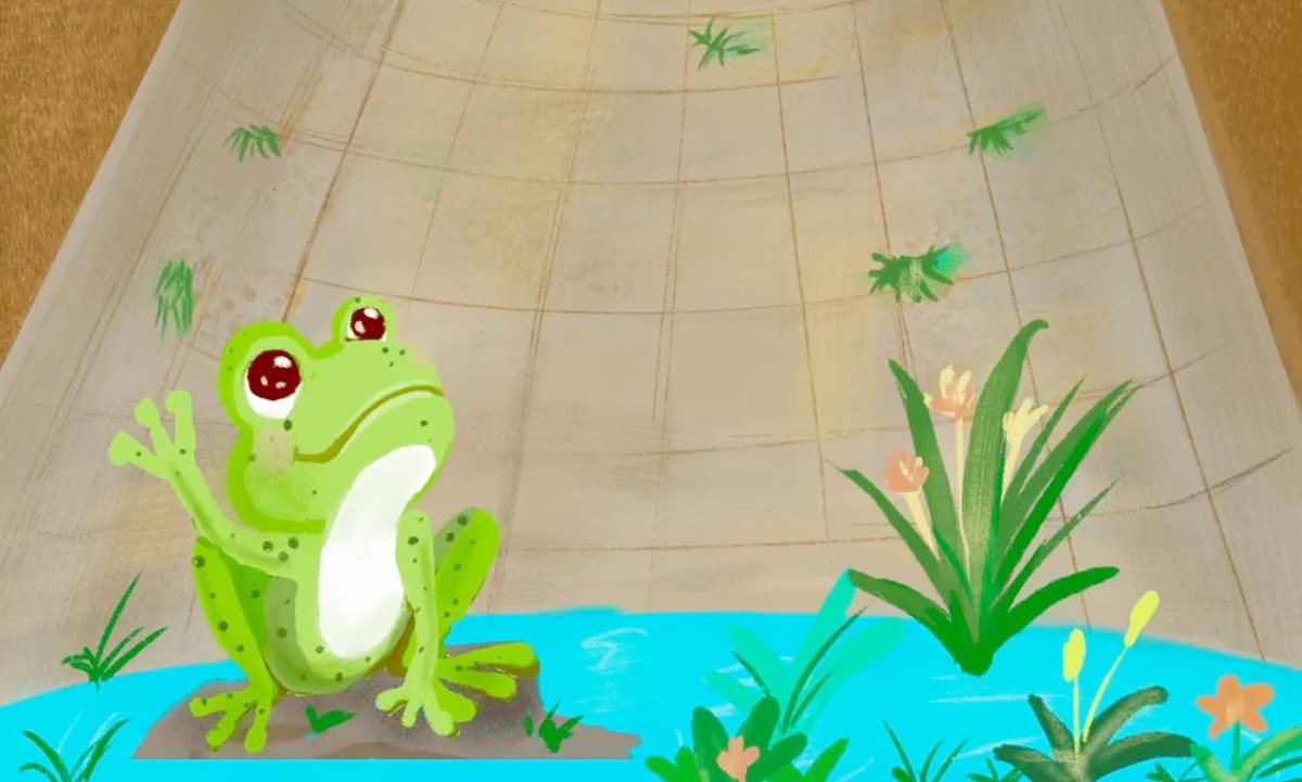 原创绘本｜回到井底的世界之蛙