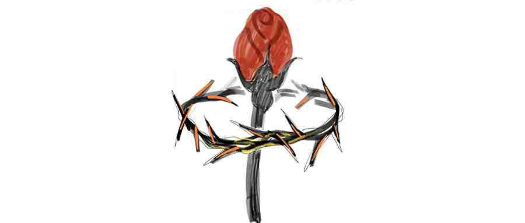 原创绘本丨荆棘苏酷生命中的三种露珠