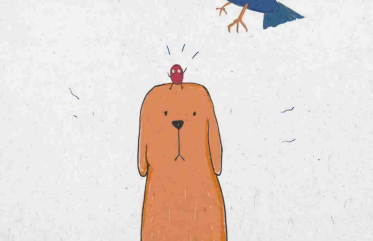 原创绘本｜手工：别人眼中的我